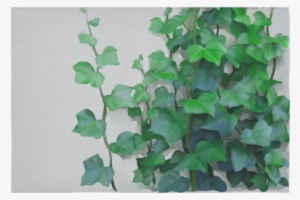 Vines, Climbing Plant Cotton Linen Wall Tapestry - Canvas