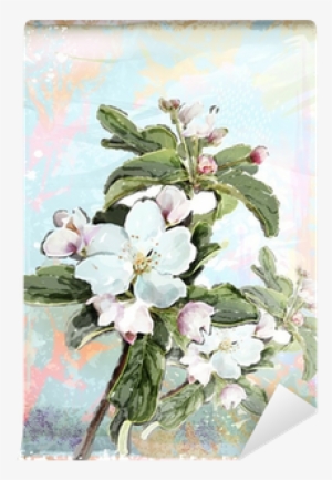 Apple Flower Blossoms In Full Bloom Wall Mural • Pixers® - Illustration