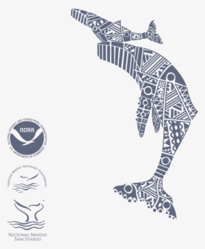 First Breath Humpbacks Web - Humpback Whale