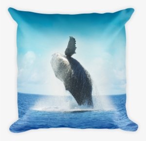 Decorative Throw Pillow / California Humpback Whale - Whales Pocket Monthly Planner 2017 16 Month Calendar