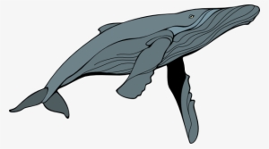 Humpback Whale Clipart - Retten Sie Die Wale Grußkarte