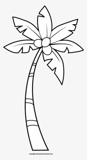 Pin Palm Tree Clipart Black And White - Clipart Palm Tree Black And White