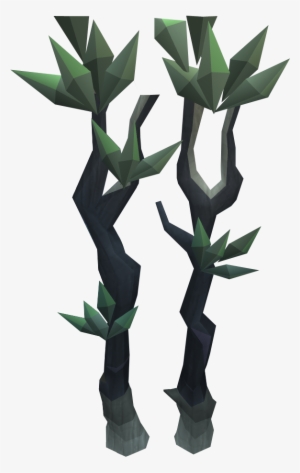Jungle Trees Png - Spindle Tree