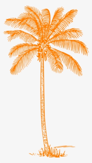 Coconut Tree Pencil Drawing