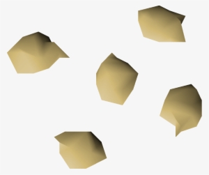 Orange Tree Seed Detail - Wiki