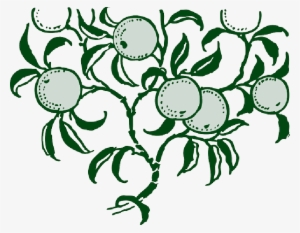 Mb Image/png - Oranges On Tree Shower Curtain