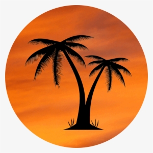 Orange Sky Palm Tree Design - Palm Tree Logo Transparent