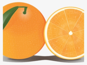 Orange Fruit Clipart Orange Tree - Клипарт Апельсин