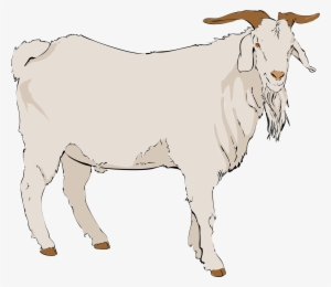 Goat Vector Background - Goat Clipart