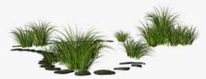 Scnature Green Greengrass Grass Stone Stonepath - Plants