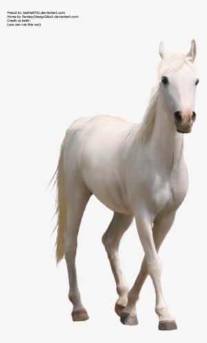 Horse Png Transparent Images Png All - Horse Png