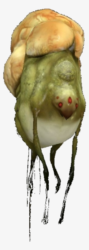 Gasbag - Woodpecker Finch