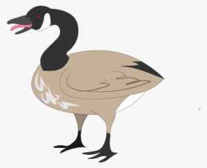 Canada Goose Illustrated For A North By Northwestern