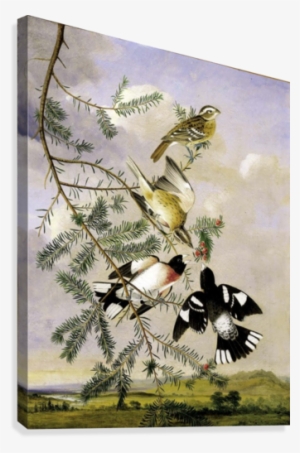 Cave To Canvas Canvas Print - Treasures From The Smithsonian Engagement Calendar