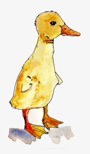 Watercolors Are Beautiful, Arent They I Am Learning - Duck