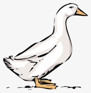 , , - Goose Graphic
