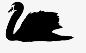 Swan, Bird, Lake, Animal, Black - Illustration