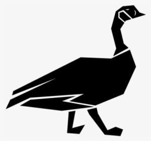 A New Wednesday Evening Study, The Wild Goose, Will - Wild Goose Fr Dave Pivonka