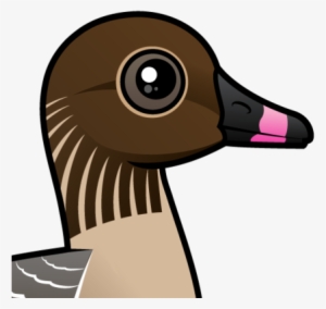 About The Pink-footed Goose - Gans Mit Roten Füßen Grußkarte