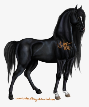Black Horse Png
