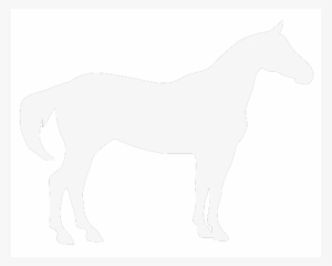 Who We Are - Horse Silhouette Free Vector