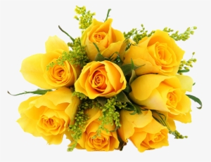 Dozen Kagerbet Dozenyellowrosesbouquet - Flower Bouquet Png