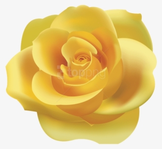 Yellow Rose Png Clip Art - Yellow Rose Clipart Png