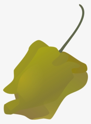 How To Set Use Habanero Pepper Spicy Hot Svg Vector