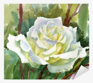 Watercolor Flower Collection - Fleurs Blanches Aquarelles Fleurs