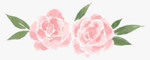 Yellow Roses Png