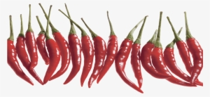 Small Chilli Marketing - Chili Peppers Isolated Png