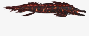 Fire Dragon - Fire Dragon Fish