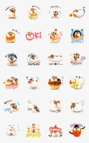 Hamster Umaru