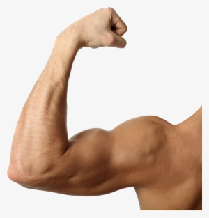 Muscle Arms Png - Stay Fit Eat Allergy Free [book]