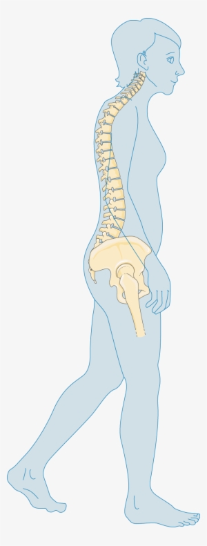 Ménopause - Menopause