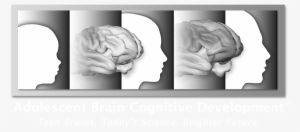 Logo Abcd Whitetext Lg - Abcd Study Posters