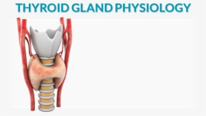 Title-2 - Physiology