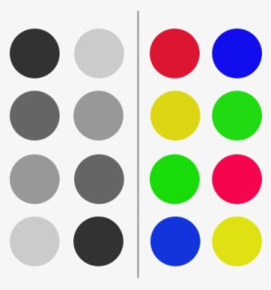 "if People Are Given A Series Of Gray Paint Chips And - Color Ordering