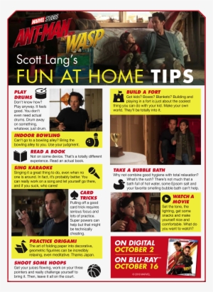 Ant Man And The Wasp Things To Do At Home - Ant-man And The Wasp
