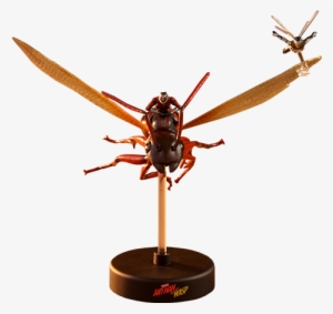About The Ant-man On Flying Ant And The Wasp Diorama - Antman And The Wasp Hot Toys Diorama