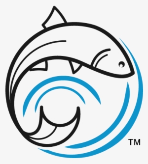 About One Fish Foundation - Fish