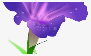 Iris Flower Clip Art Free Clipart Panda Free Clipart - Morning Glory Png