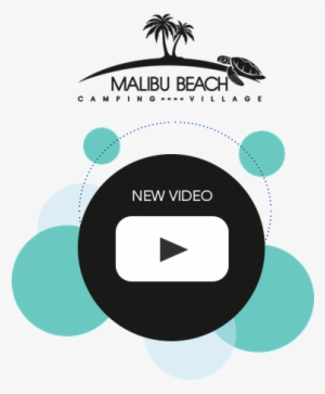 Png Library Library Beach Transparent Camping - Social Video Marketing