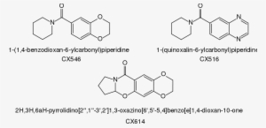 This Graphics Is Cortex Pharmaceutical Ampakines About - Ampakine
