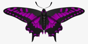 Butterfly Purple Black Clip Art Image Gallery - Clip Art