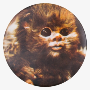 Ewok Star Wars - Vtg Baby Ewok Star Wars 83 Return