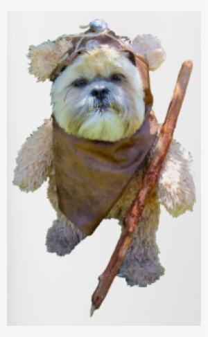 Cute May The 4th Be With You