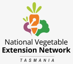 Tags - Quantum And Classical Computer