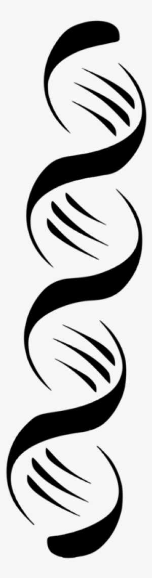 Nucleic Acid Double Helix A-dna Computer Icons - Double Helix Dna Vector