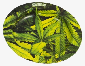 Be Lit Ashtray, Leafy